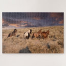Suche nach wilde mustangs puzzle Wild horse