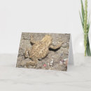 Suche nach amphibien karten Niedlich