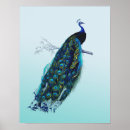 Suche nach vintager pfau poster Elegant