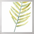 Suche nach botanischer druck poster Tropisch