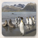 Suche nach eisberg untersetzer Blau