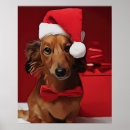 Suche nach weihnachtsgeschenk poster Dackel
