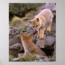 Suche nach südamerikanische poster Nationalpark