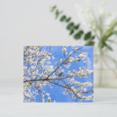 Suche nach mandeln postkarten Elegant