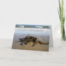 Suche nach algen karten Meer