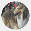 Suche nach rau aufkleber Collie