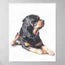 Suche nach rottweiler hunde poster Haustier
