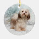 Suche nach havanese ornamente Haustier