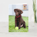 Suche nach labrador retriever karten Holen