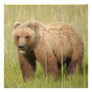 Suche nach 24x24 poster Foto