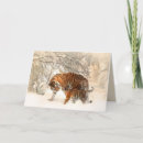 Suche nach tiger karten Natur