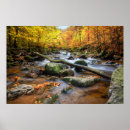 Suche nach herbstwald poster Blätter