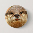 Suche nach asiatische buttons Tier