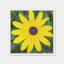 Suche nach rudbeckia hirta Gänseblümchen