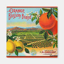 Suche nach orange blüte magnete Orangen