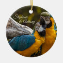 Suche nach papageien ornamente Farbenfroh
