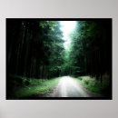 Suche nach dunkler wald poster Fotografie