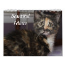 Suche nach schöne katzen kalender Kätzchen