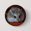 Suche nach niedlicher hamster buttons Haustier