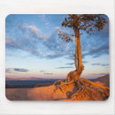 Suche nach schlucht mousepads Scenics
