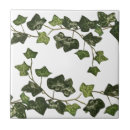 Suche nach efeu fliesen Botanisch