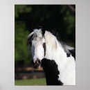 Suche nach sinti und roma vanner poster Rasse