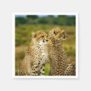 Suche nach der großen katze servietten Gepard