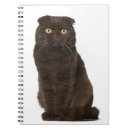 Suche nach katzenartig kleine notizbücher Katzenliebhaber