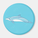 Suche nach delfin magnete Ozean