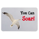 Suche nach steigen magnete Himmel