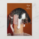 Suche nach an hängen postkarten Für sie