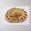Suche nach python poster Gelb