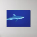 Suche nach haifisch leinwandbilder Fische
