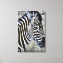 Suche nach zebras kunst Wildtiere