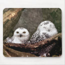 Suche nach zwei tiere mousepads Niedlich