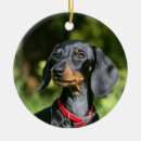 Suche nach brauen ornamente Hund