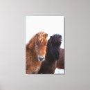 Suche nach icelandic horse poster Mantel