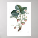 Suche nach gardening poster Floral