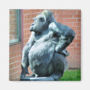 Suche nach primate magnete Natur