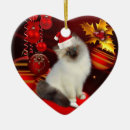 Suche nach weihnachtskatze ornamente Santa