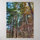 Suche nach waldweg poster Herbst