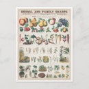 Suche nach übersicht postkarten Diagramm