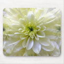 Suche nach chrysantheme mousepads Natur