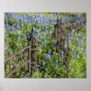 Suche nach friedhofs poster Hügel