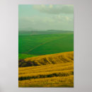Suche nach canola poster Kanola
