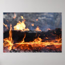 Suche nach baumstamm poster Fotografie