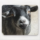 Suche nach zieger mousepads Ziegen