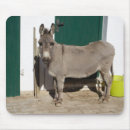 Suche nach maultiere mousepads Niedlich