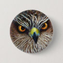 Suche nach falke buttons Vögel