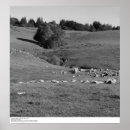 Suche nach ansel adams kunst Ucsc